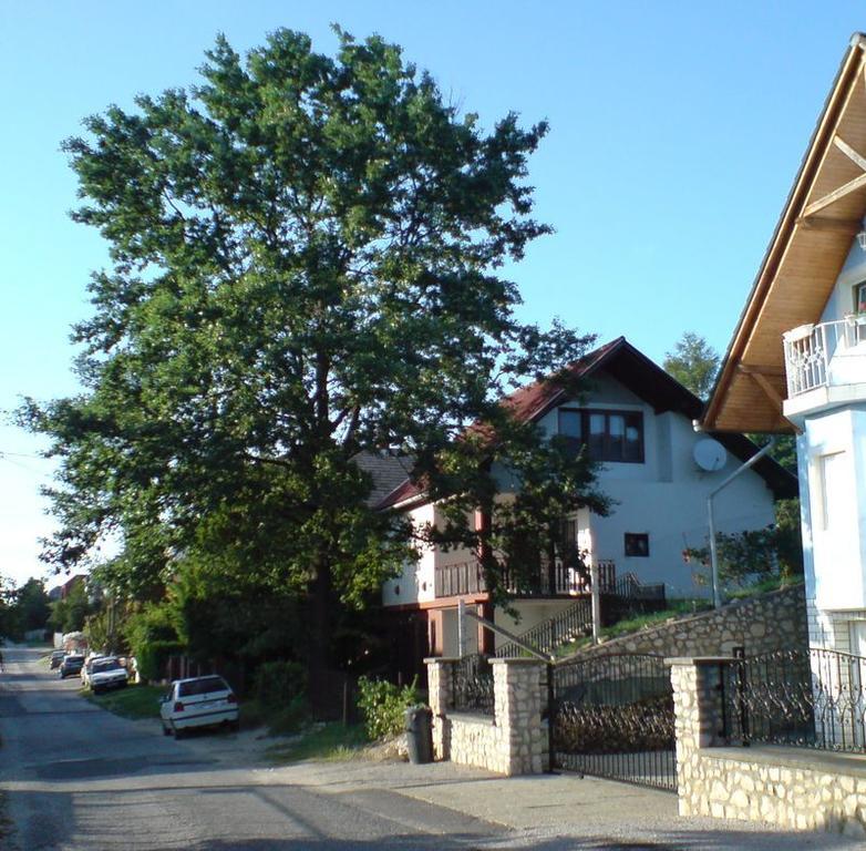 Budai Garden House Хевіз Номер фото