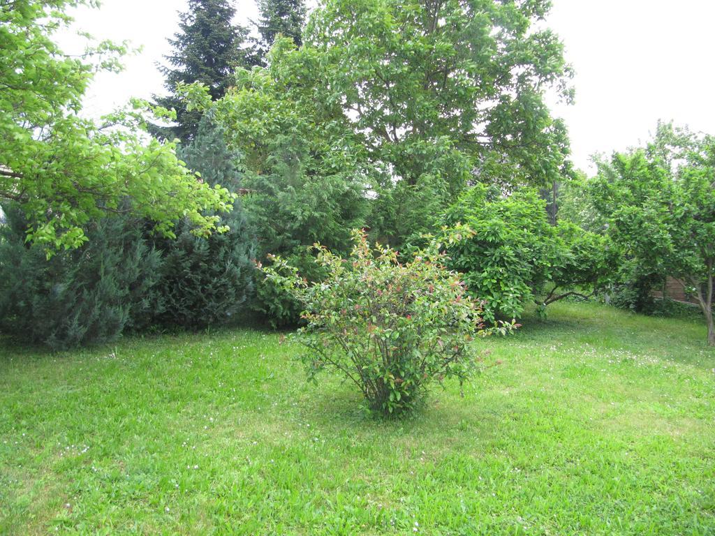 Budai Garden House Хевіз Номер фото